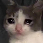 怪猎梁山收容所