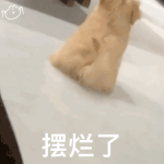 天天天天天天天天